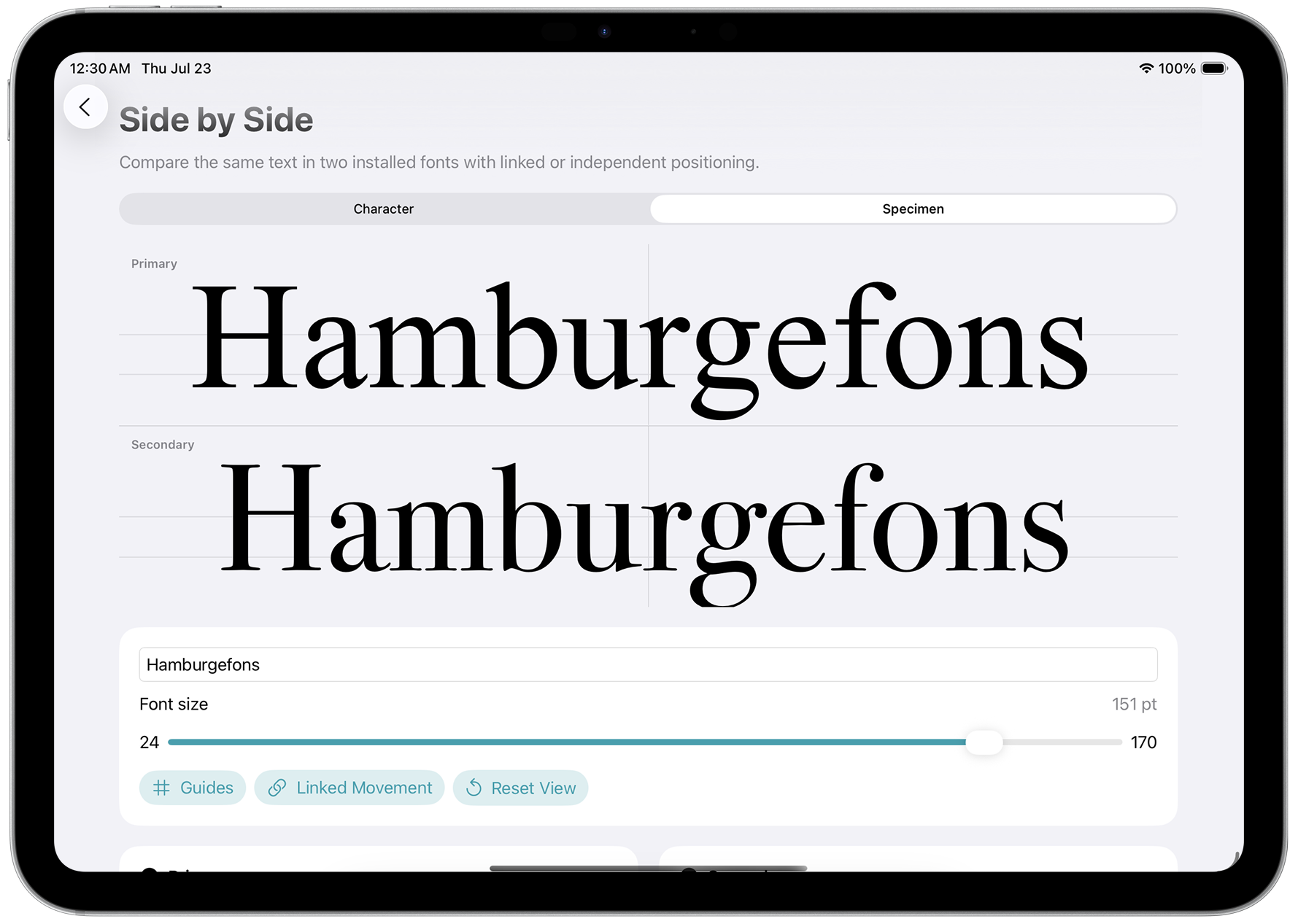 Typography Insight side-by-side comparison on a framed iPad
