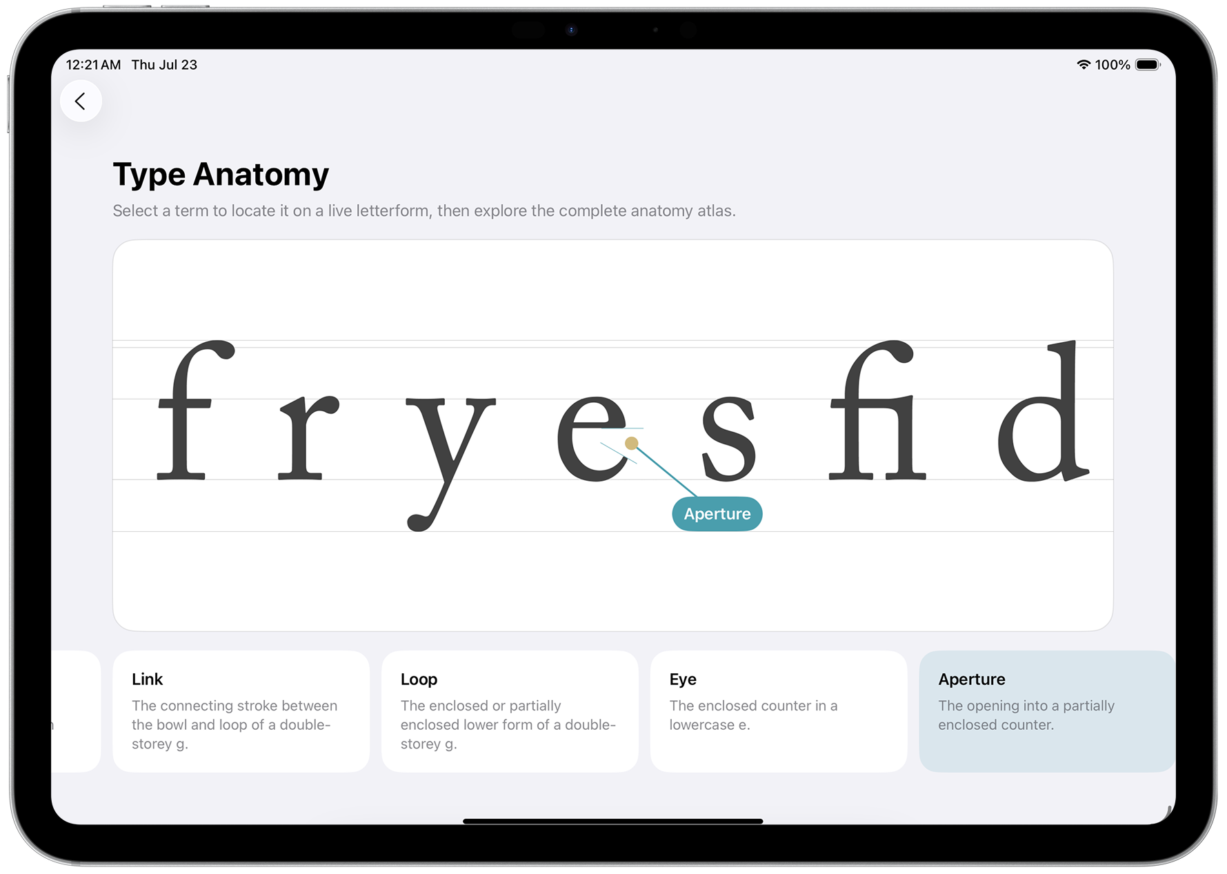 Typography Insight iPad screen 10