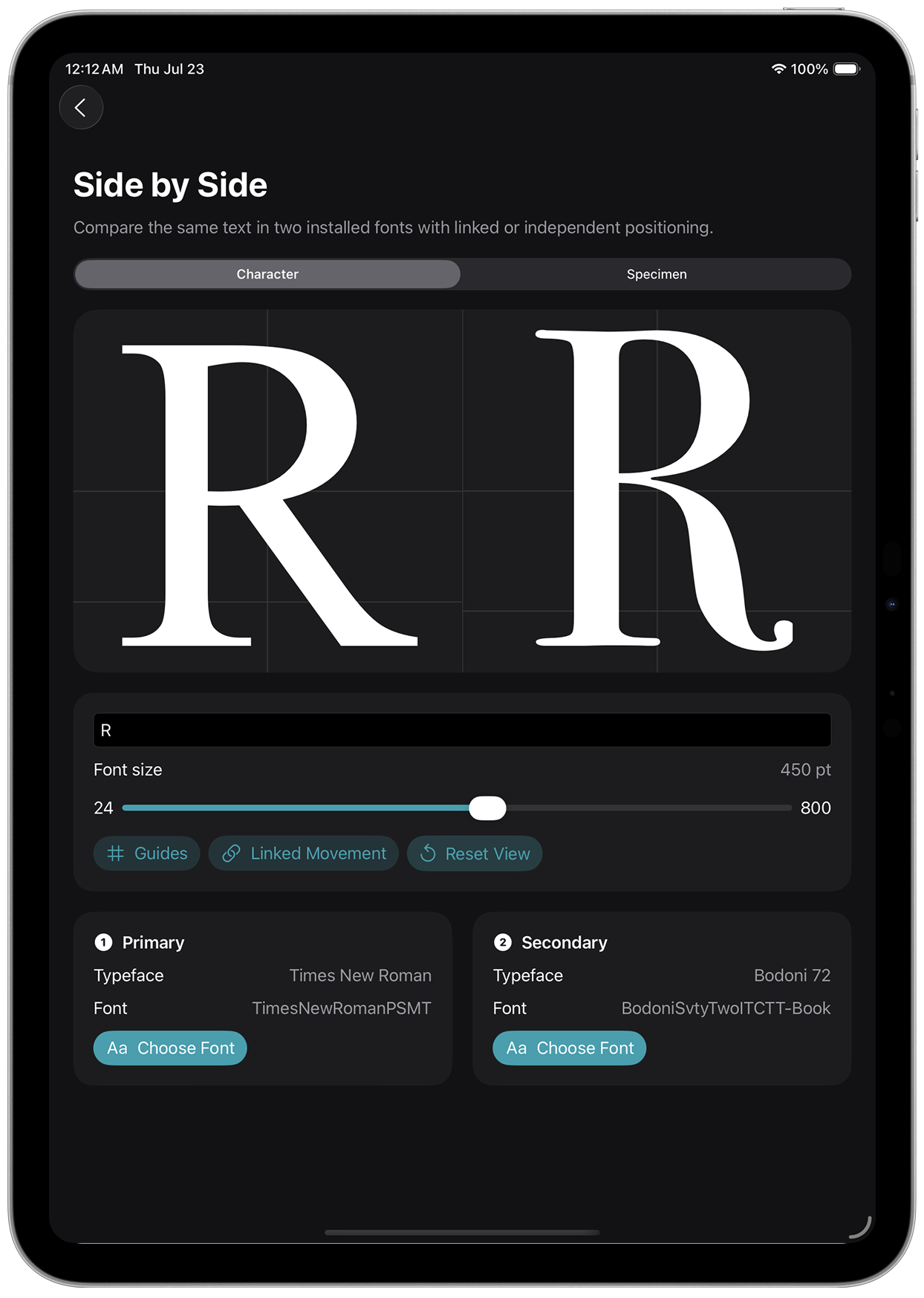 Typography Insight iPad screen 12